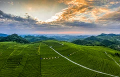 多彩贵州·第十四届中国原生态国际摄影大展 · 鸟瞰家乡 的图集
