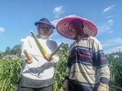 多彩贵州·第十四届中国原生态国际摄影大展 · 博一 的图集