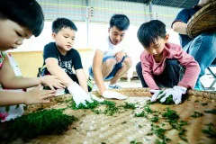 多彩贵州·第十四届中国原生态国际摄影大展 · 杨明亮 的图集
