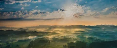 日孕茶乡