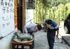 多彩贵州·第十四届中国原生态国际摄影大展 · 许斌 的图集