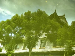2025多彩贵州·第十八届中国原生态国际摄影大展 · 懒猫 的图集