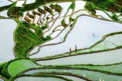 多彩贵州·第十四届中国原生态国际摄影大展 · 行摄天下 的图集