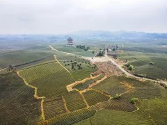 多彩贵州·第十四届中国原生态国际摄影大展 · 牧渔 的图集