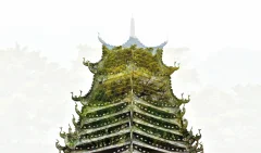多彩贵州·第十四届中国原生态国际摄影大展 · 紫蝶视角 的图集