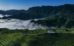 多彩贵州·第十四届中国原生态国际摄影大展 · 朱文军 的图集
