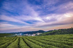 多彩贵州·第十四届中国原生态国际摄影大展 · 崎岸 的图集