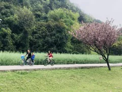 多彩贵州·第十四届中国原生态国际摄影大展 · 宁静港湾 的图集