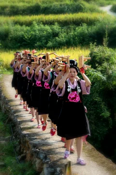 多彩贵州·第十四届中国原生态国际摄影大展 · cxp 的图集