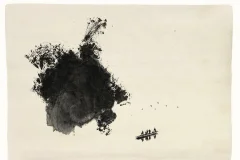 第十五届多彩贵州·中国原生态国际摄影大展 · 摄影大展官方客服 的图集