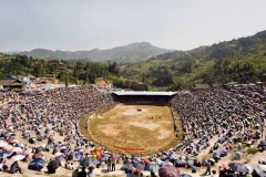 从江县下江镇归江斗牛场