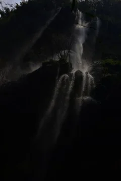 多彩贵州·第十四届中国原生态国际摄影大展 · 紫蝶视角 的图集