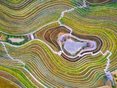 第十五届多彩贵州·中国原生态国际摄影大展·”空中瞰贵州”主题征稿 · 牧渔 的图集