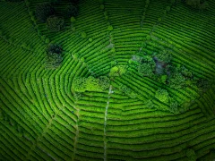 多彩贵州·第十四届中国原生态国际摄影大展 · 朱文军 的图集