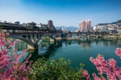 多彩贵州·第十四届中国原生态国际摄影大展 · 杨胜屏 的图集