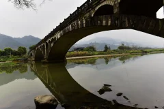 多彩贵州·第十四届中国原生态国际摄影大展 · 紫蝶视角 的图集