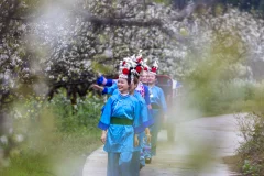 多彩贵州·第十四届中国原生态国际摄影大展 · 知根 的图集
