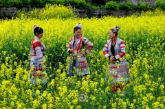 2024多彩贵州·第十七届中国原生态国际摄影大展展览 · 摄影大展官方客服 的图集