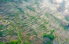 多彩贵州·第十四届中国原生态国际摄影大展 · 普照山 的图集