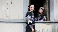 多彩贵州·第十四届中国原生态国际摄影大展 · 流浪枫叶 的图集
