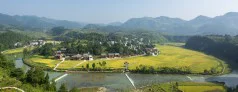 多彩贵州·第十四届中国原生态国际摄影大展 · 叶子烟 的图集
