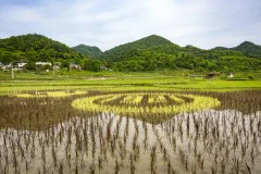 多彩贵州·第十四届中国原生态国际摄影大展 · 朱进 的图集