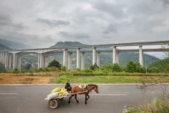 2023多彩贵州·第十六届中国原生态国际摄影大展 · 无极 的图集