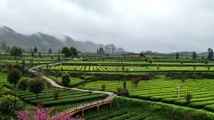 多彩贵州·第十四届中国原生态国际摄影大展 · 李洪广 的图集