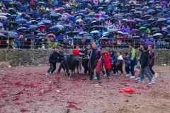 2025多彩贵州·第十八届中国原生态国际摄影大展 · 青瓷 的图集