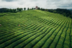 第十五届多彩贵州·中国原生态国际摄影大展·”空中瞰贵州”主题征稿 · 余莎莉 的图集