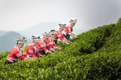 多彩贵州·第十四届中国原生态国际摄影大展 · 周红光 的图集