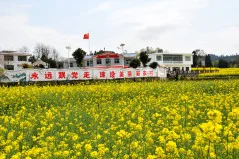 多彩贵州·第十四届中国原生态国际摄影大展 · 行摄天下 的图集