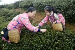 多彩贵州·第十四届中国原生态国际摄影大展 · 行摄天下 的图集