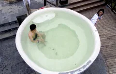 多彩贵州·第十四届中国原生态国际摄影大展 · 笨牛 的图集