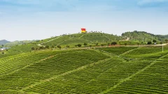 多彩贵州·第十四届中国原生态国际摄影大展 · 大文 的图集
