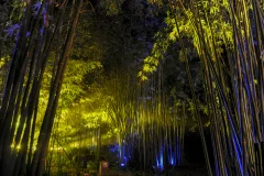 多彩贵州·第十四届中国原生态国际摄影大展 · 洪开第 的图集