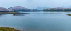 多彩贵州·第十四届中国原生态国际摄影大展 · 叶子烟 的图集