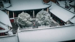 2025多彩贵州·第十八届中国原生态国际摄影大展展览 · 摄影大展官方客服 的图集