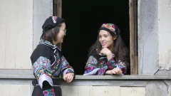 多彩贵州·第十四届中国原生态国际摄影大展 · 流浪枫叶 的图集
