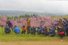 多彩贵州·第十四届中国原生态国际摄影大展 · 李必祥 的图集