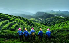 多彩贵州·第十四届中国原生态国际摄影大展 · 朱文军 的图集