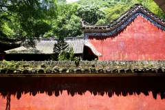 2025多彩贵州·第十八届中国原生态国际摄影大展 · 朱进 的图集