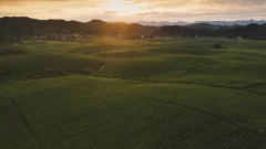 多彩贵州·第十四届中国原生态国际摄影大展 · 方映nic 的图集