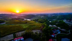 多彩贵州·第十四届中国原生态国际摄影大展 · 健摄者 的图集
