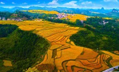 多彩贵州·第十四届中国原生态国际摄影大展 · 秀摄黔景 的图集