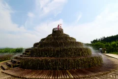 多彩贵州·第十四届中国原生态国际摄影大展 · 杨晓海 的图集