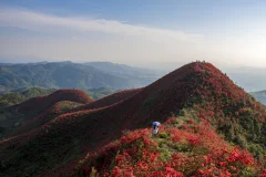 多彩贵州·第十四届中国原生态国际摄影大展 · 吴江平 的图集