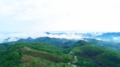 多彩贵州·第十四届中国原生态国际摄影大展 · 流浪枫叶 的图集