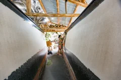 ​2024多彩贵州·第十七届中国原生态国际摄影大展 · 朱进 的图集