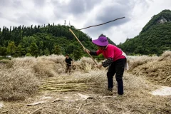 2025多彩贵州·第十八届中国原生态国际摄影大展 · 胖子 的图集